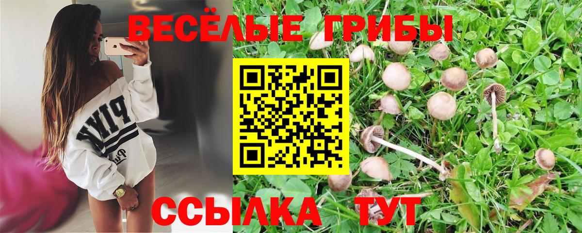 Галлюциногенные грибы мухоморы Волгоград