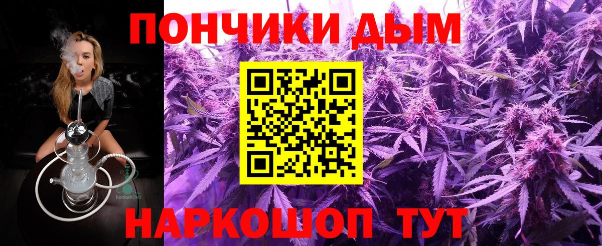 Волгоград  Бошки Шишки ГИДРОПОН  Вход с VPN  МАРИХУАНА VHQ 